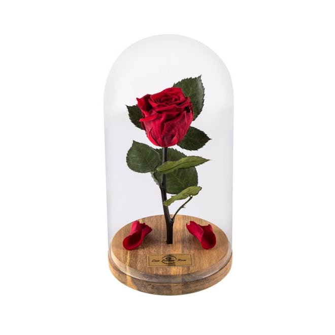 Beauty And The Beast Rose in Glass Dome