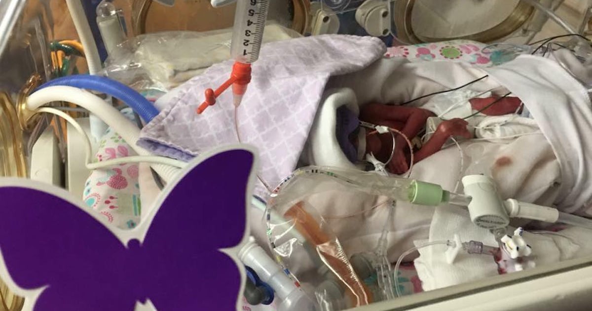 What Does Purple Butterfly Mean On Baby Crib What Does The Purple Butterfly On A Baby's Crib Mean? The Meaning Is