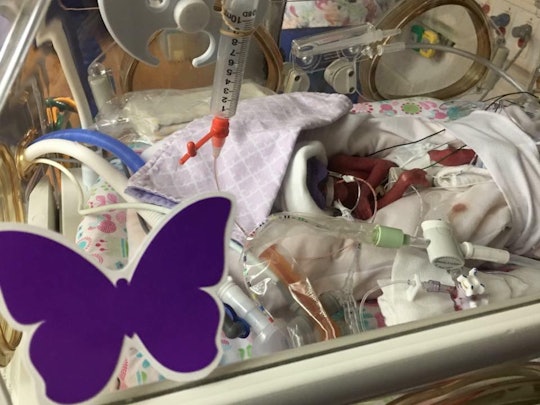 What Does The Purple Butterfly On A Baby's Crib Mean? The Meaning Is  Important