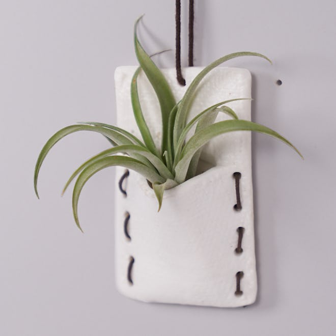 Tilly Wall Pocket With Mini Air Plant