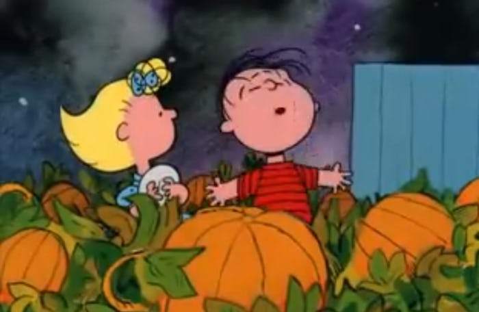 A scene from the 'It's The Great Pumpkin Charlie Brown,'