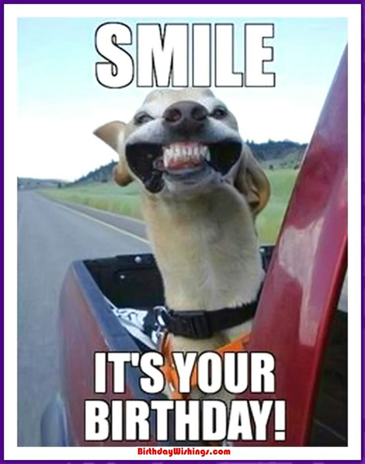15 Funny Birthday Memes That Are So Accurate They Take The Cake