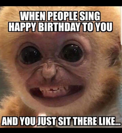 funny birthday memes