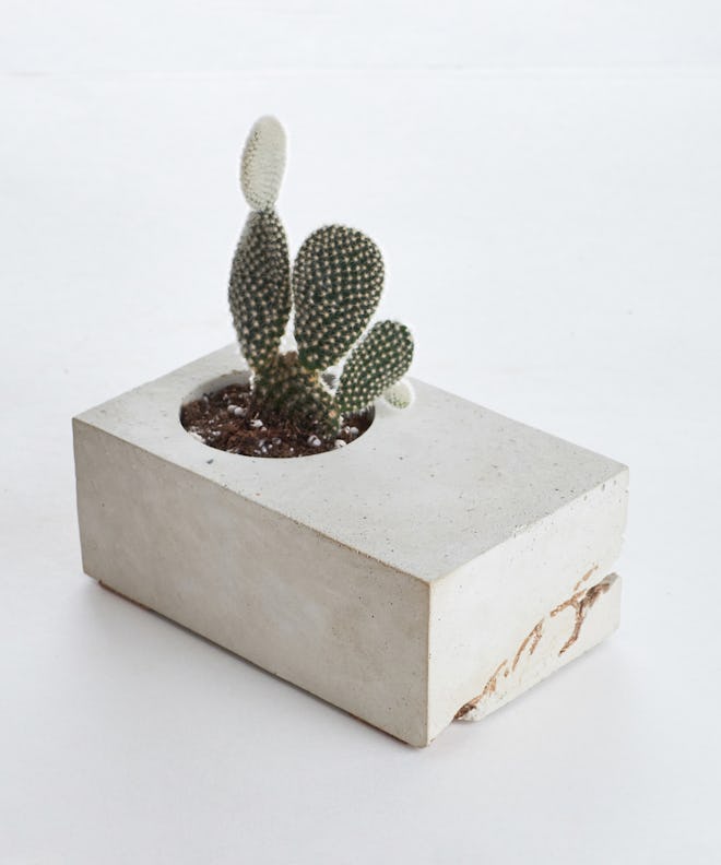 Vale Concrete Block Planter With Cactus, Gray and Gold
