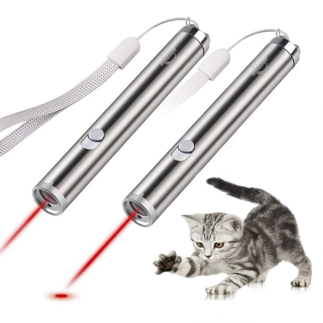 Innozon Laser Pointer Chaser Toys (2-Pack)