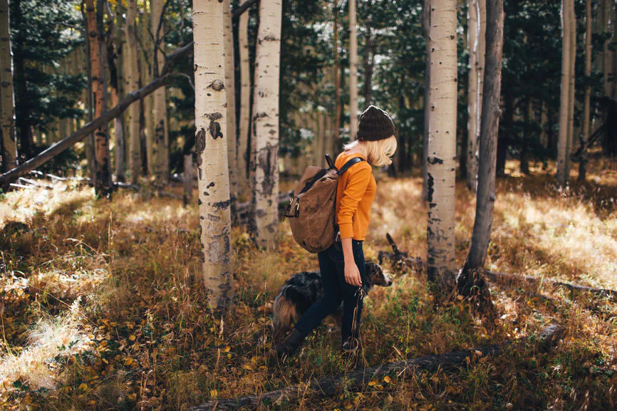 7 Ideas For Fall Staycations That You & Your Wallet Will Love A ...
