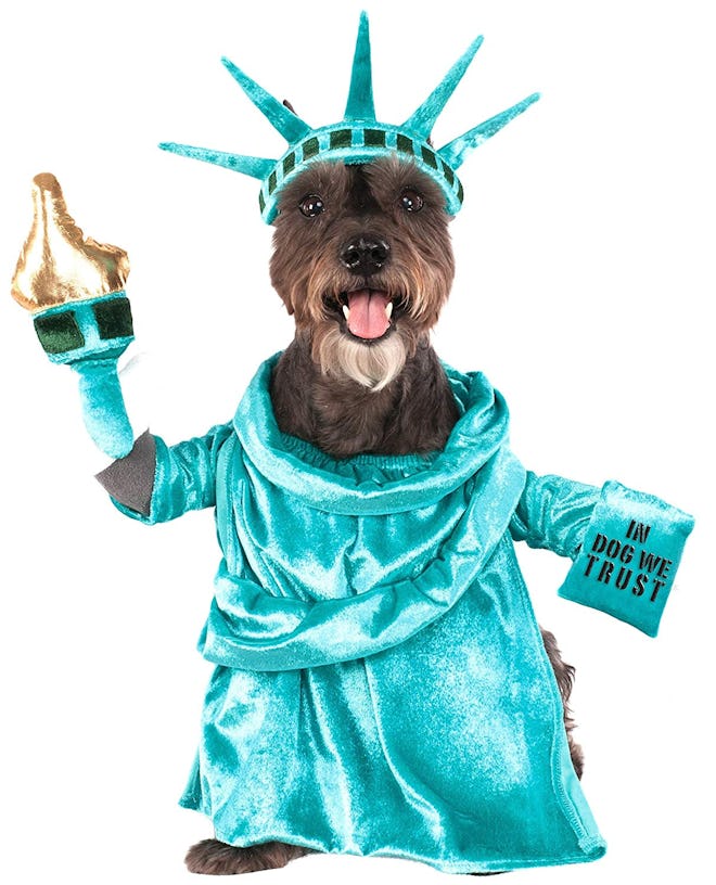 Statue of Liberty Pet Costume