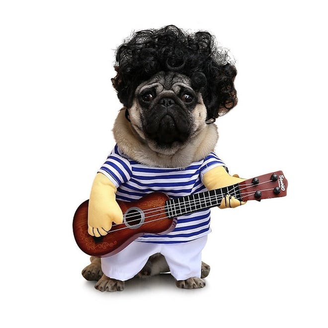 FanQube Fancy Guitar Player Costume for Dogs & Cats