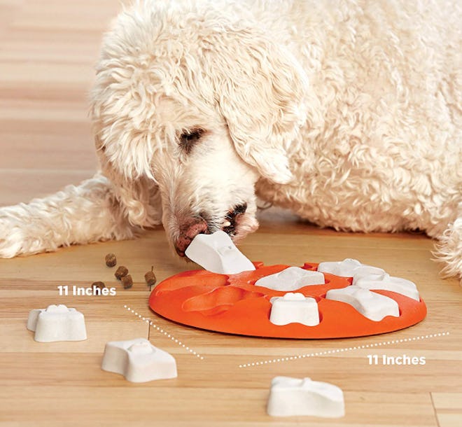 Outward Hound Dog Smart Puzzle