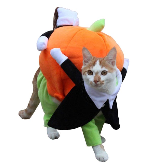 UHeng Funny Pet Pumpkin Costume