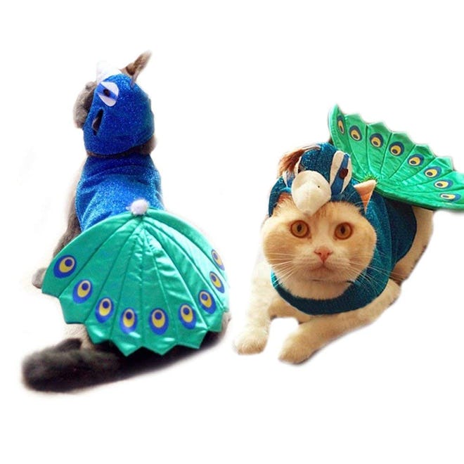 FLAdorepet Peacock Pet Costume