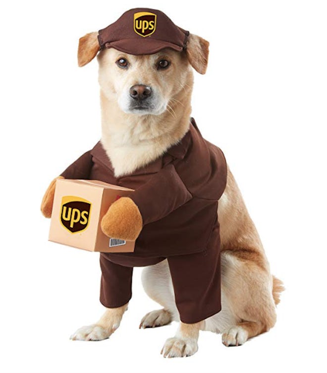 California Costumes UPS Pal Pet Costume