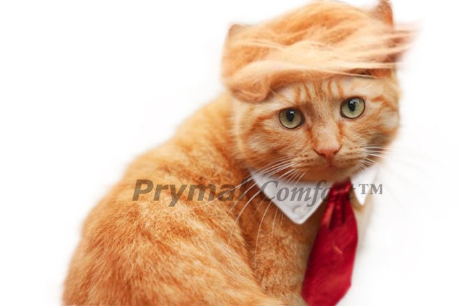 Prymal Comfort Trump Cat Costume