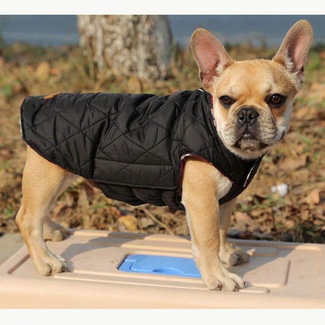 Kuoser Reversible Dog Coat