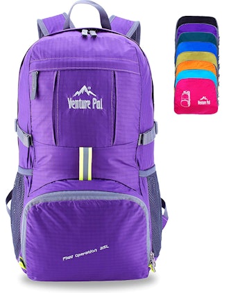 Venture Pal Lightweight Travel Backpack