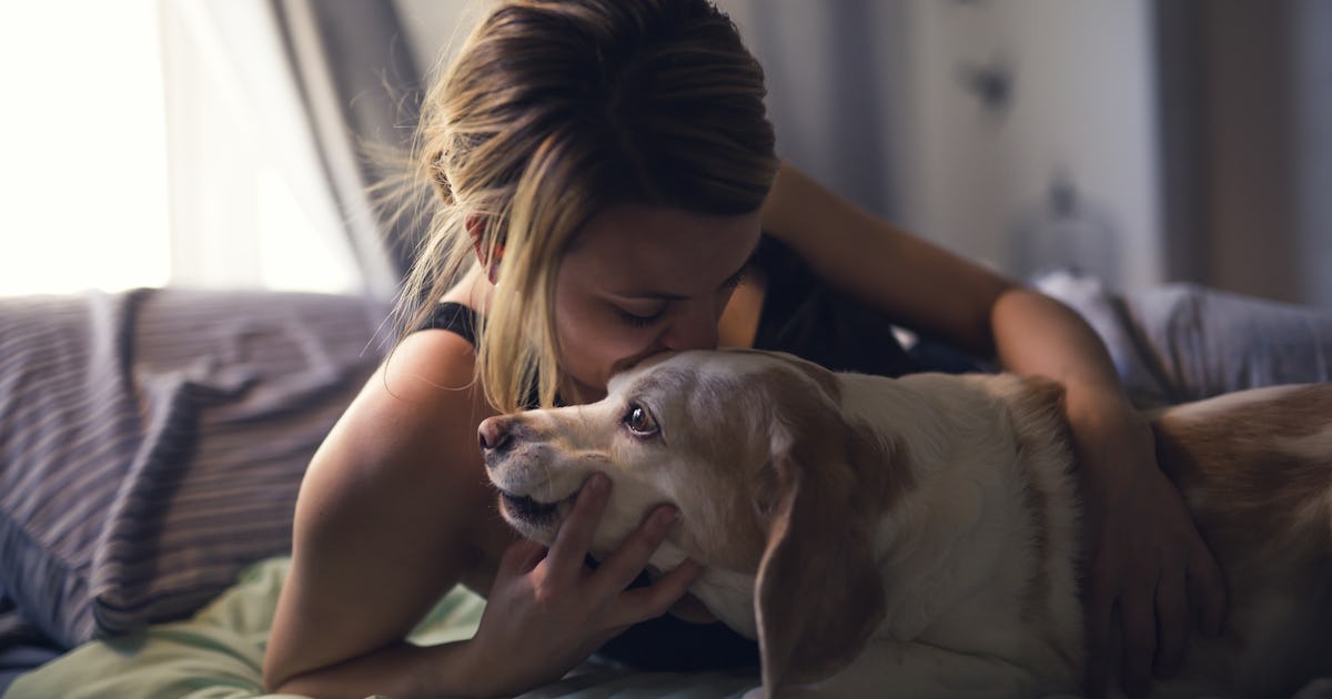 The Reason Why Dogs Cuddle With You Proves They Re The Sweetest Fur Babies Ever The Reason Why Dogs Cuddle With You Proves They Re The Sweetest Fur Babies Ever