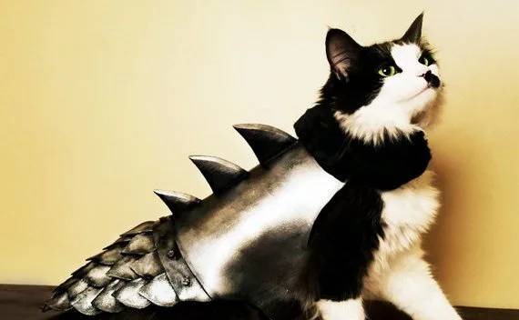 expensive dog costumes