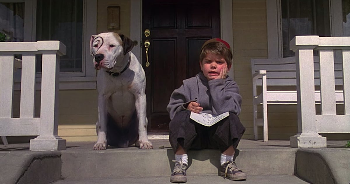 12 TV Shows & Movies On Netflix About Dogs That Are Sure To Cure Any