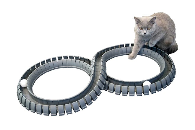 Magic Cat Track and Ball Toy