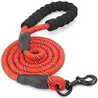 BAAPET Strong Dog Leash With Padded Handle