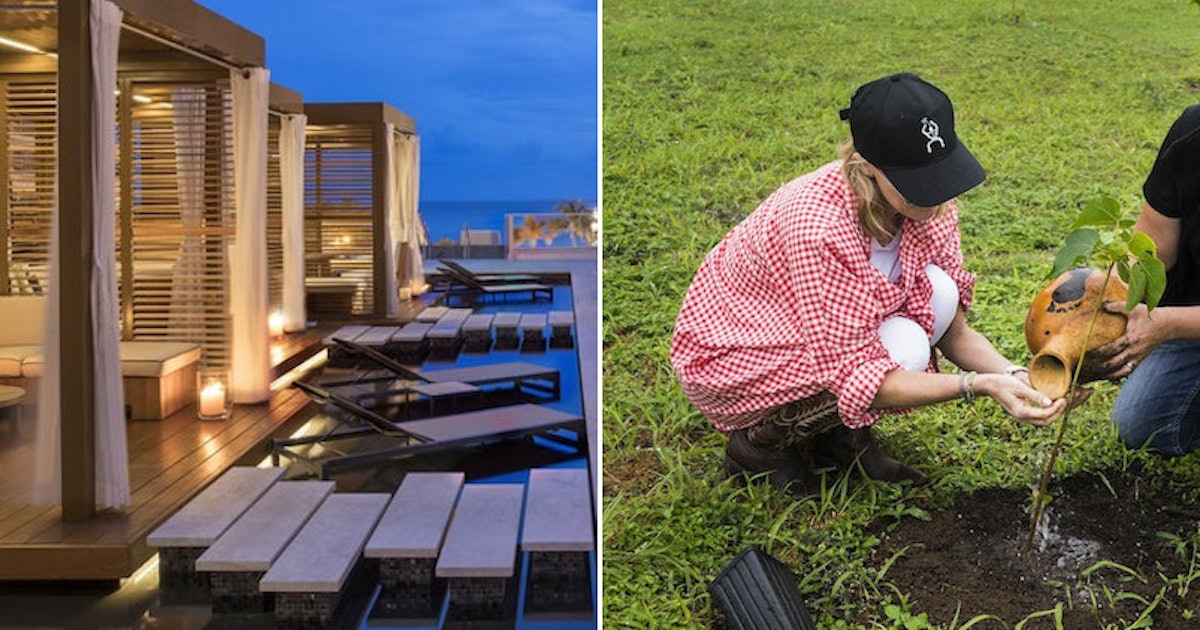 ʻalohilani Resort S Plant Your Intentions Quot Experience Is