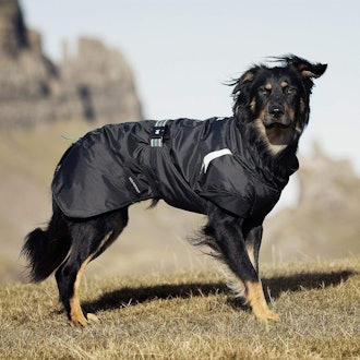 Hurtta Pet Collection Summit Parka