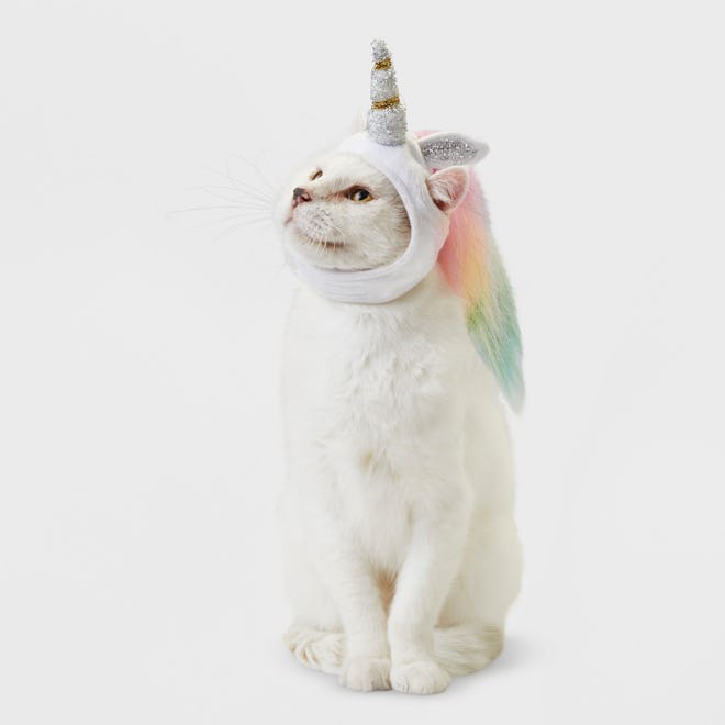 Unicorn Cat Costume
