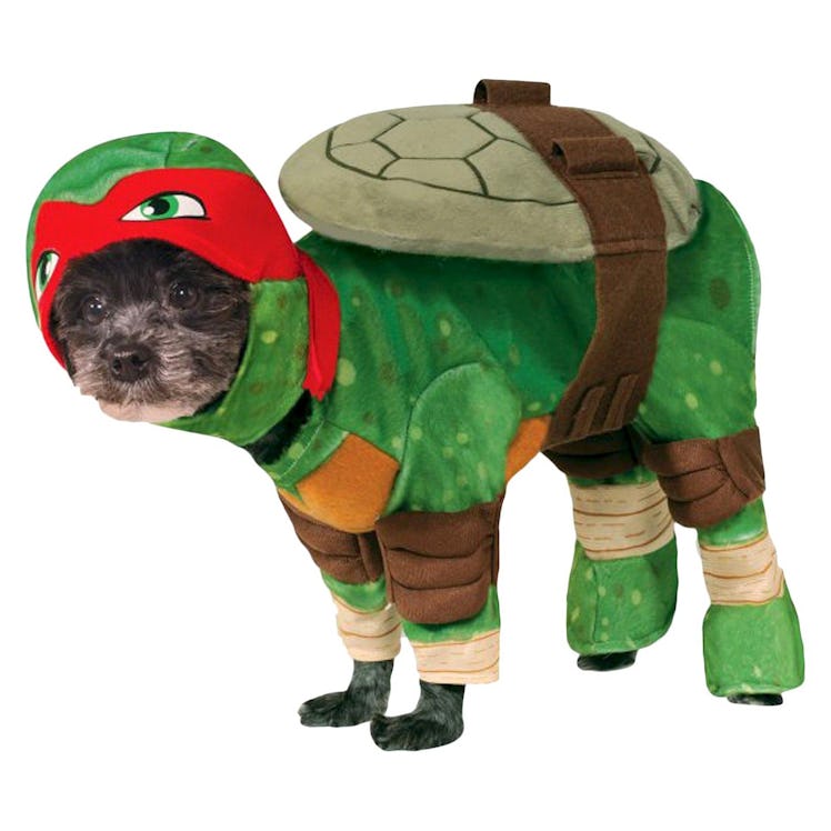 Teenage Mutant Ninja Turtles Raphael Dog Costume - Green