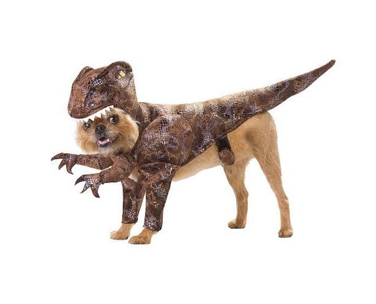Raptor Pet Dog Costume - Brown