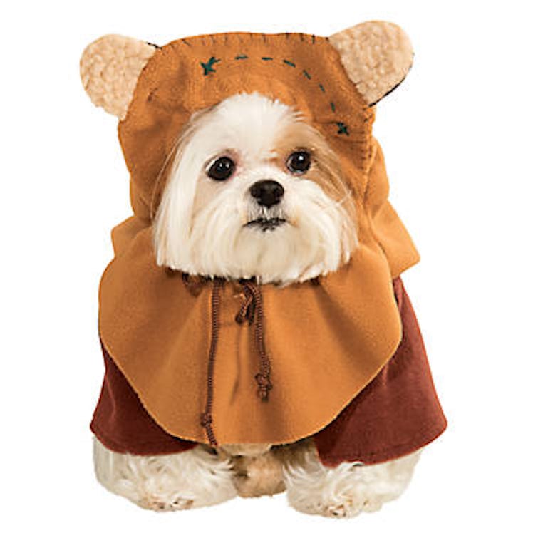 Star Wars™ Ewok™ Halloween Pet Costume