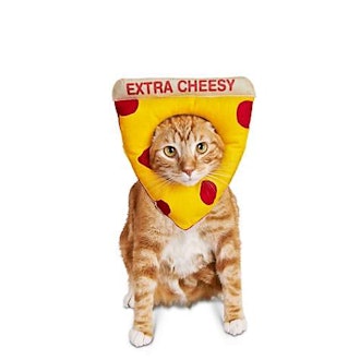 Cheesy Pizza Cat Costume