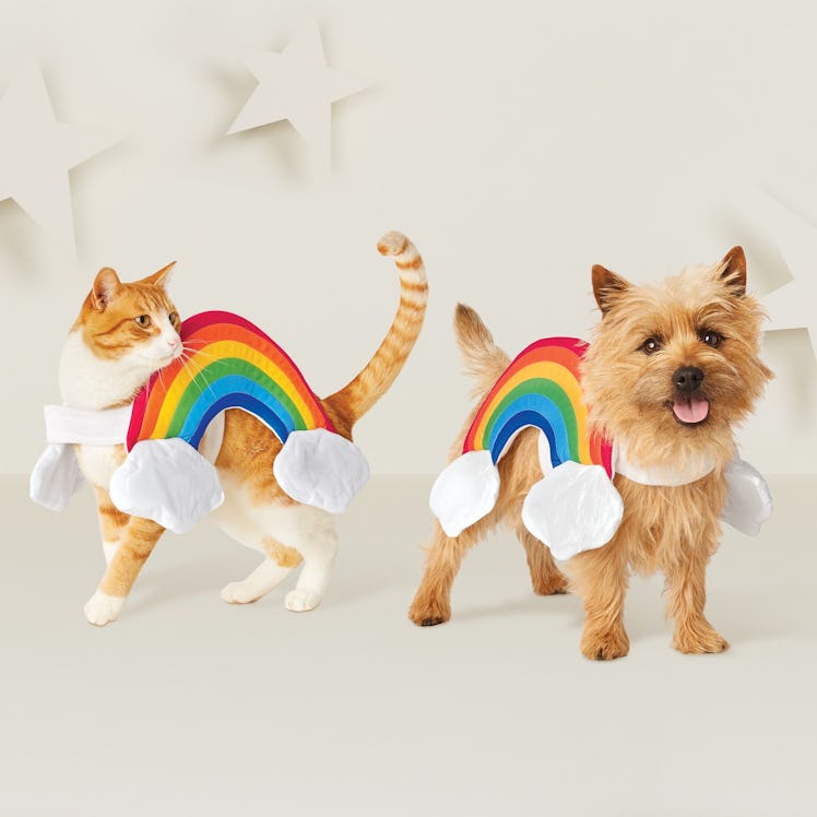 Rainbow Dog Costume - Rainbow/White - Hyde and Eek! Boutique