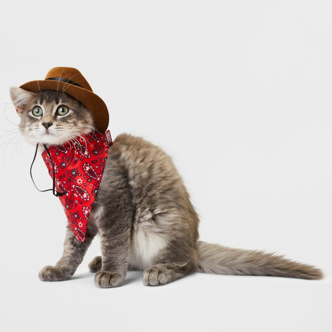 Cat Costume Western