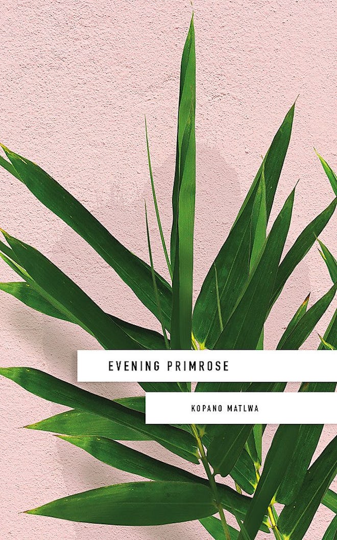 'Evening Primrose' by Kopano Matlwa
