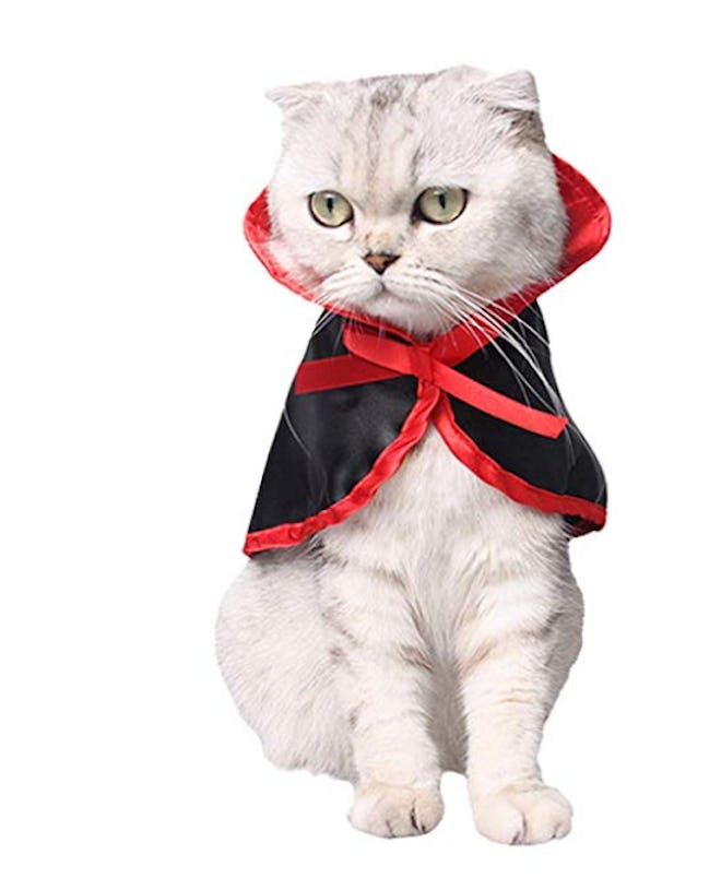 Halloween Pet Cape