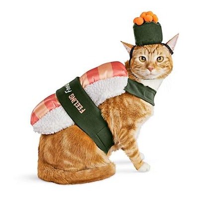 Bootique Sushi Roll Cat Costume