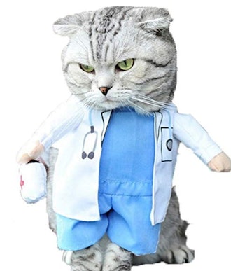 Cat Doctor Costume