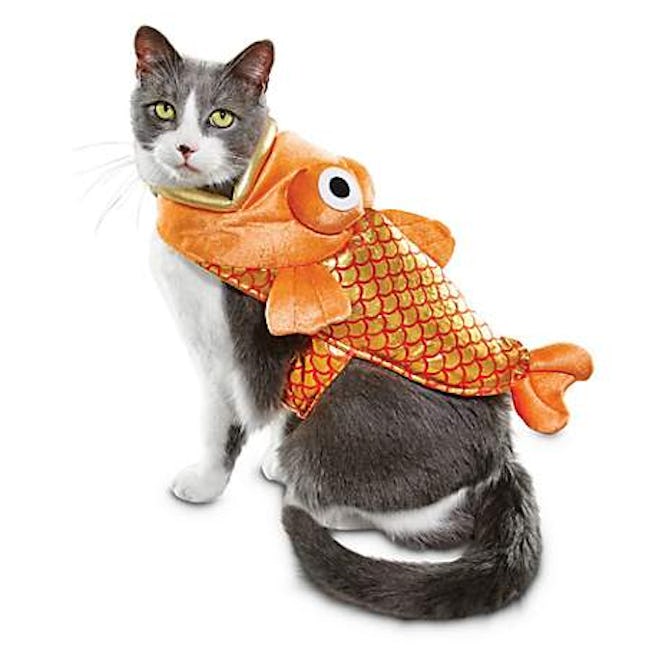 Bootique Catch of the Day Fish Cat Costume