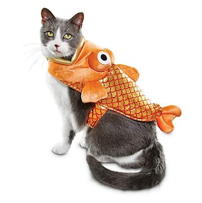Bootique Catch of the Day Fish Cat Costume