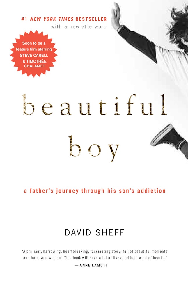 'Beautiful Boy' Is Based On A Book By The RealLife David