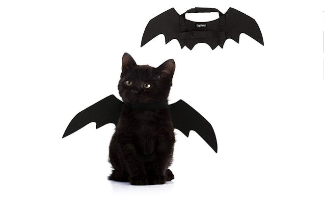 Halloween Bat Wings Cat Costume