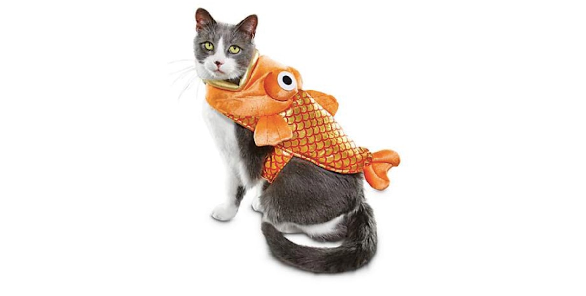 Fish Cat Costume