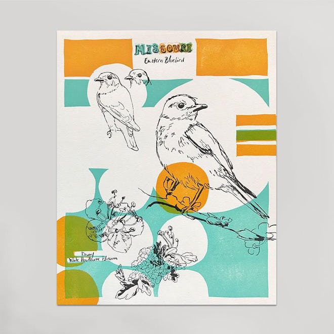 State Bird Print (Shown here: Missouri)
