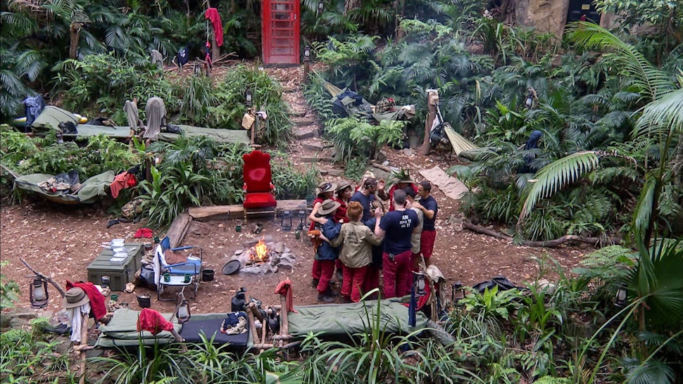 Can You Holiday Where 'I'm A Celebrity' Is Filmed? Only If You Don't Mind A Few Creepy Crawlies