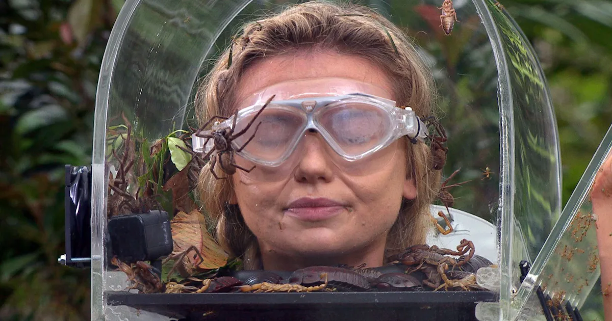 Are The Bushtucker Trials Real I m A Celebrity Is Pretty Serious are-the-bushtucker-trials-real-i-m-a-celebrity-is-pretty-serious