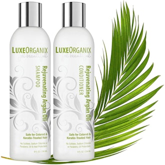 LuxeOrganix Moroccan Argan Oil Shampoo and Conditioner