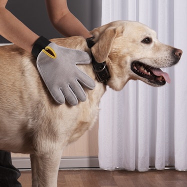 Pat Your Pet Grooming Glove