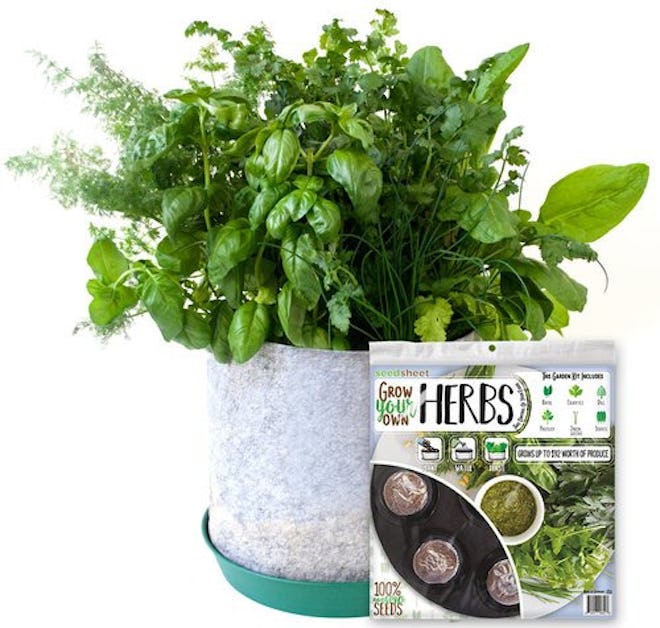 Seedsheet Fast-Growing Organic NonGMO Recipe Garden Kit