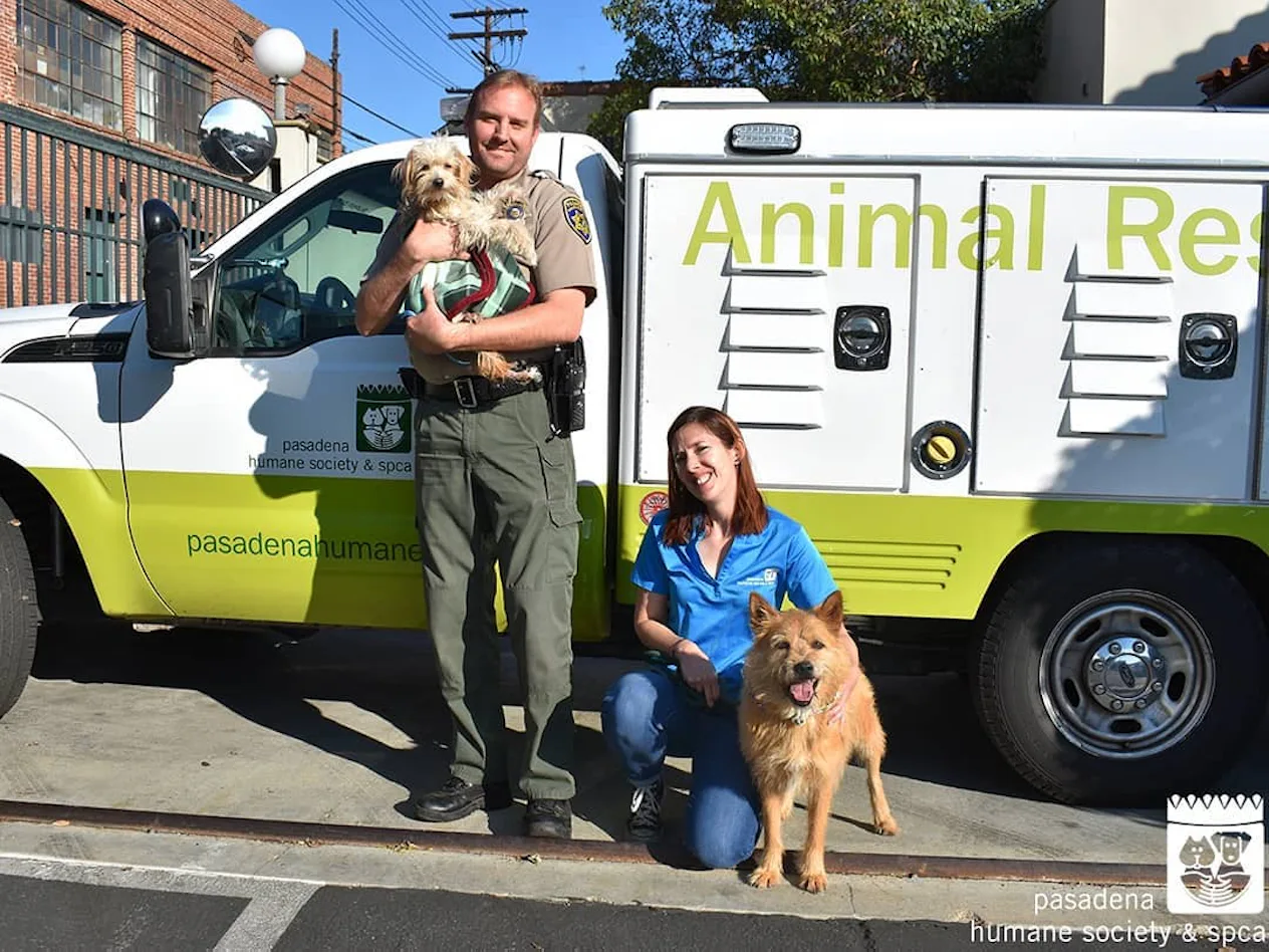 California Humane Police Animal Shelters To Donate To As California Wildfires Continue Burning