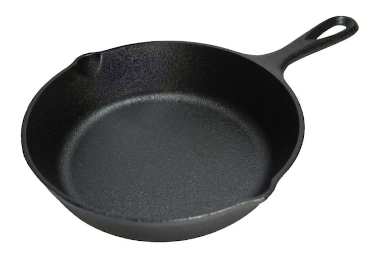 Lodge Pre-Seasoned Skillet